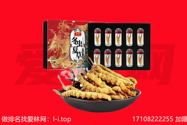 盐城滨海县回收虫草.jpg